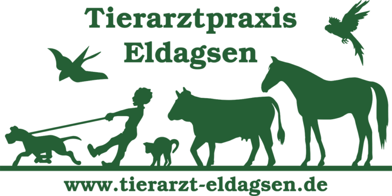 Tierarztpraxis Eldagsen